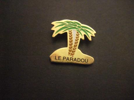 Camping Le Paradou Frankrijk vakantie palmboom
